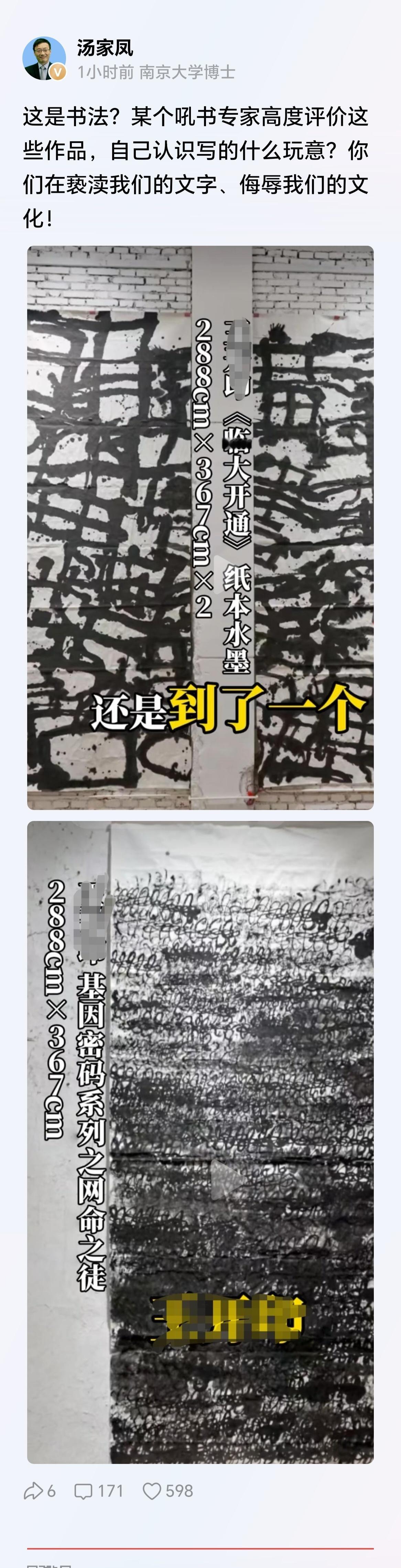 汤家凤博士怒了：你们在亵渎我们的文字、侮辱我们的文化！网友：这就是鬼画符