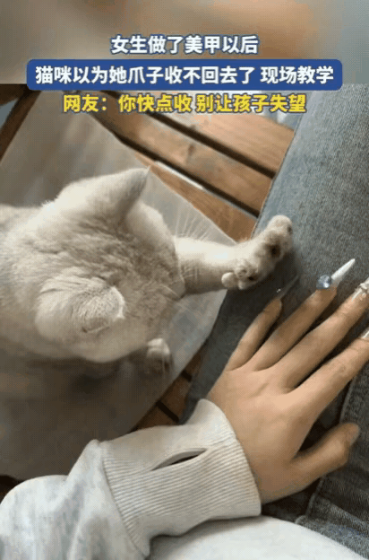 太有灵性了！女生做了美甲回家，猫咪看到后，竟然以为她爪子收不回去了，直接现场教学