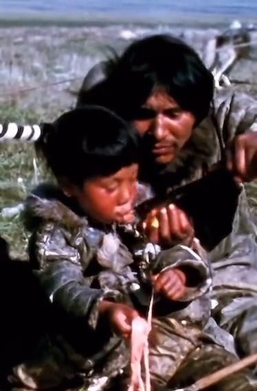 在资源匮乏的贫瘠之地，没有任何一个因有特人能拒绝三文鱼的诱惑。接下来的视频可能会