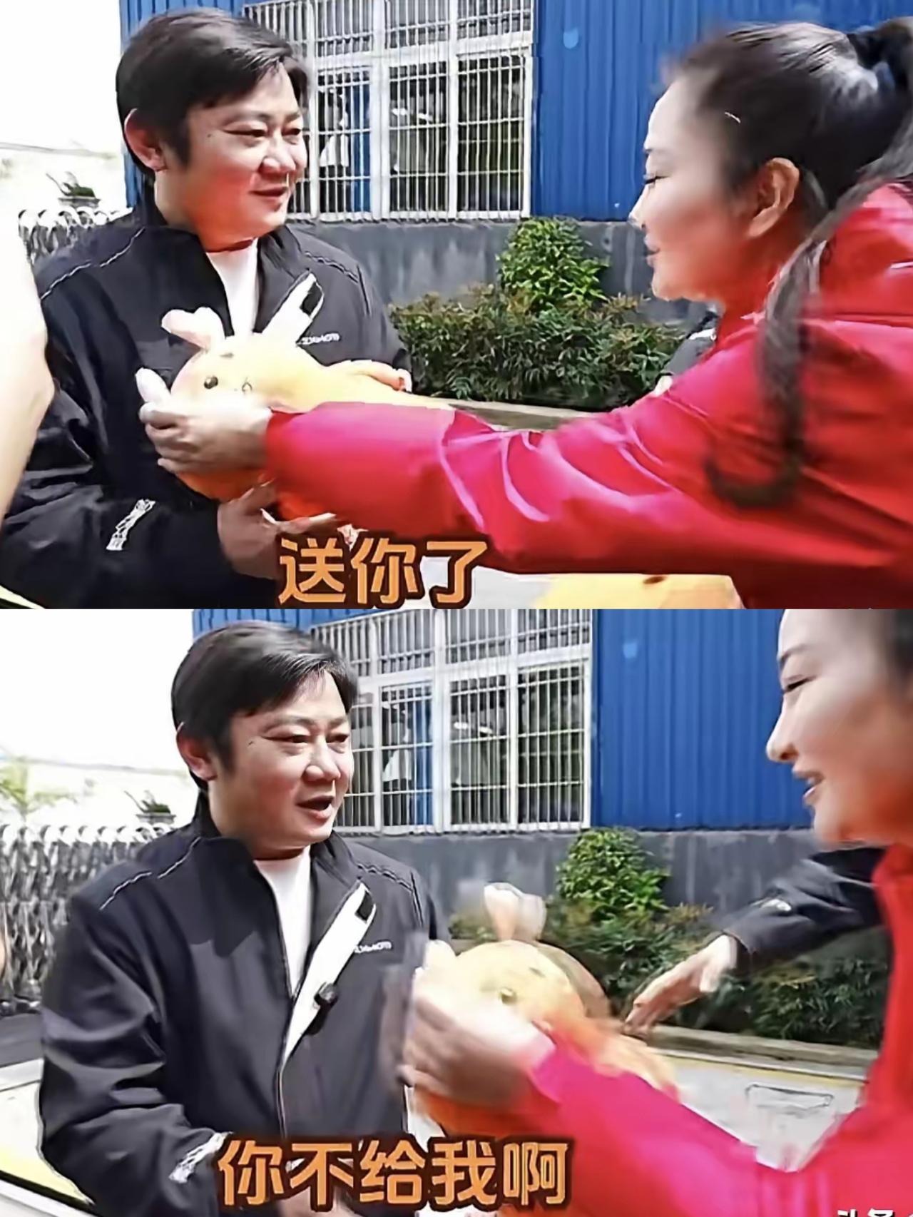 一句你不给我啊，当场把主持人整破防，这波反差直接笑翻全场！麻阳融媒采访张雪，主