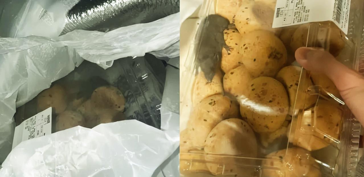 活这么大头一次长见识了！活老鼠居然在食品密封塑料盒内？12月9日凌晨，深圳一网