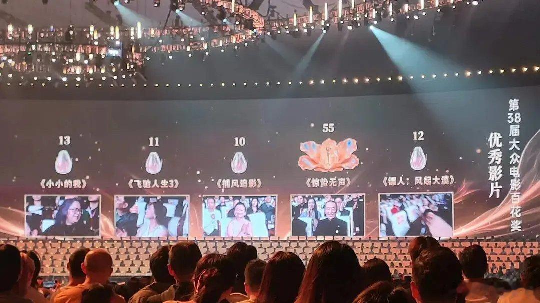 编剧只有两票，主演也没拿奖导演也没拿奖优秀影片怎么断层拿到50票的？这不搞笑吗？
