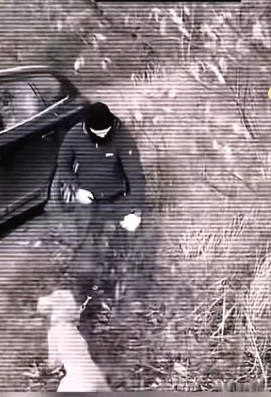 监控画面里，傍晚时分，一名男子从车上牵下一只狗狗，将其拴在树枝上。可怜的狗狗大概