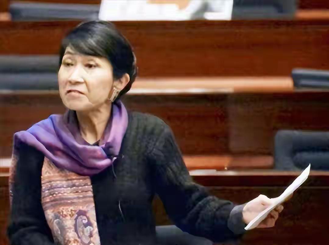 日本真正怕的不是导弹和稀土而是藏在我们身边的间谍被一锅端很多人都纳闷：我们