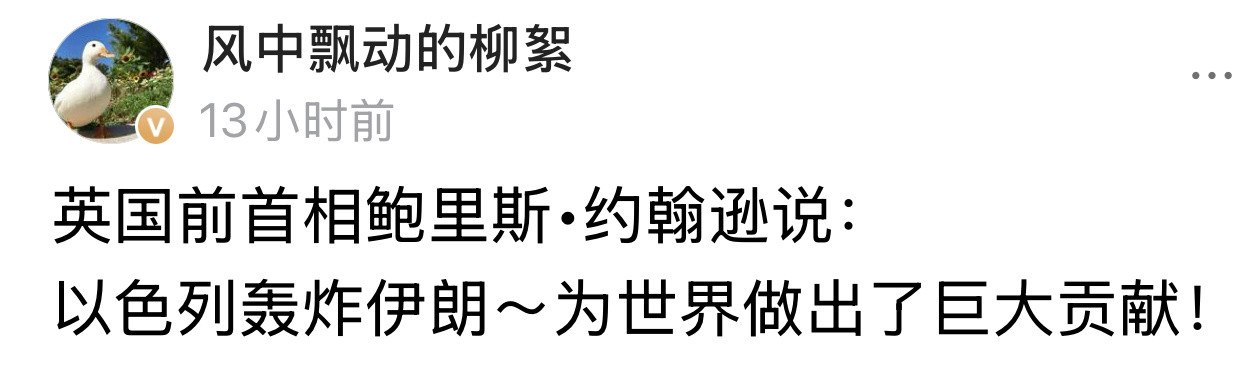 大金毛[捂脸哭]伊以冲突​​​