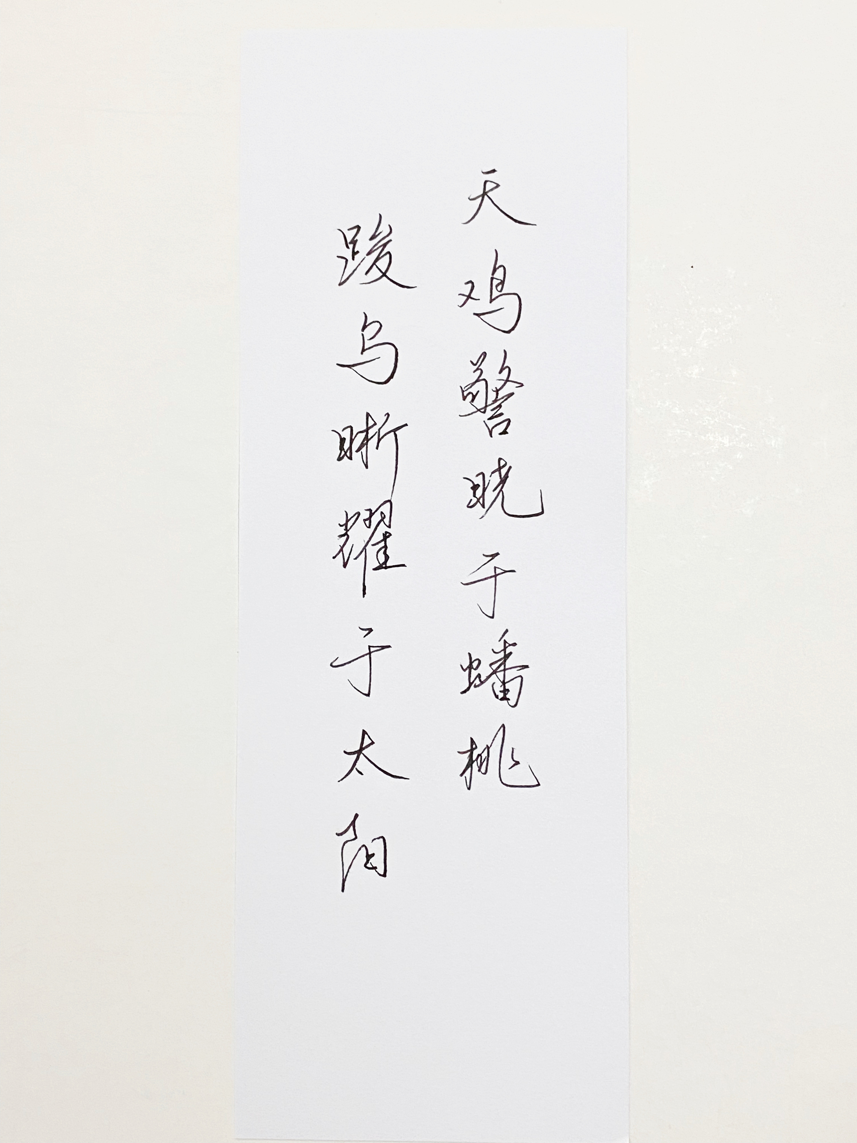 一起写写字霞呢