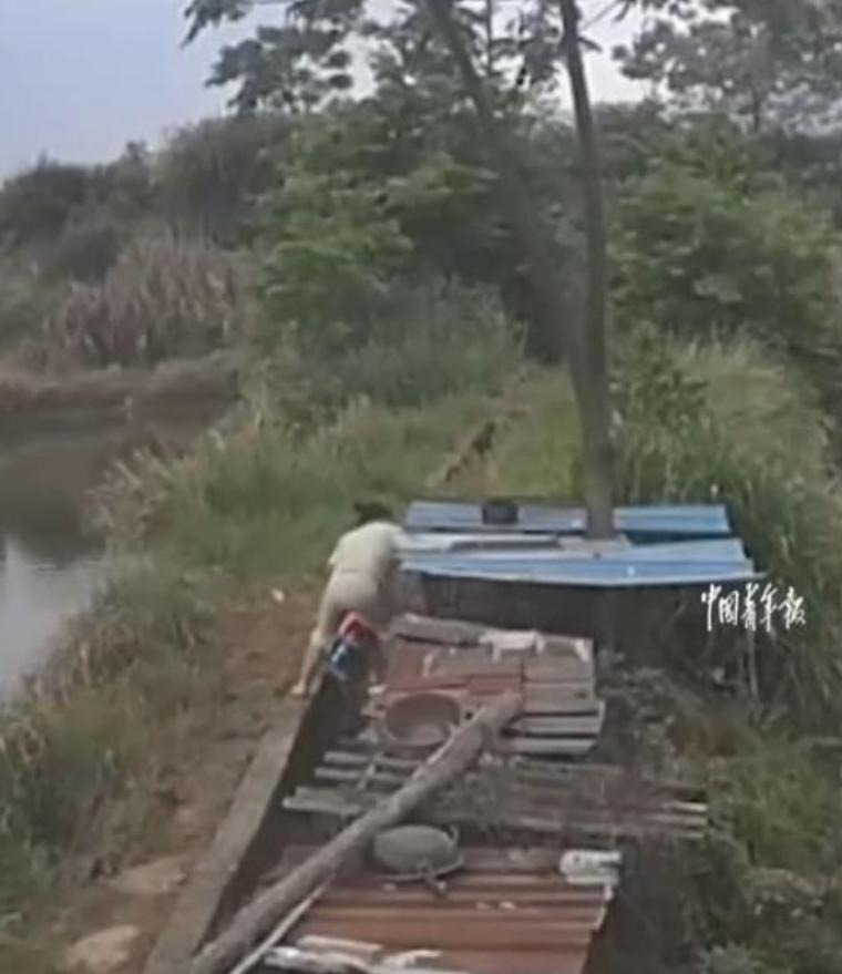 “上辈子拯救了银河系吧！”浙江金华的这名女士，在四月的一个阴沉午后，正为