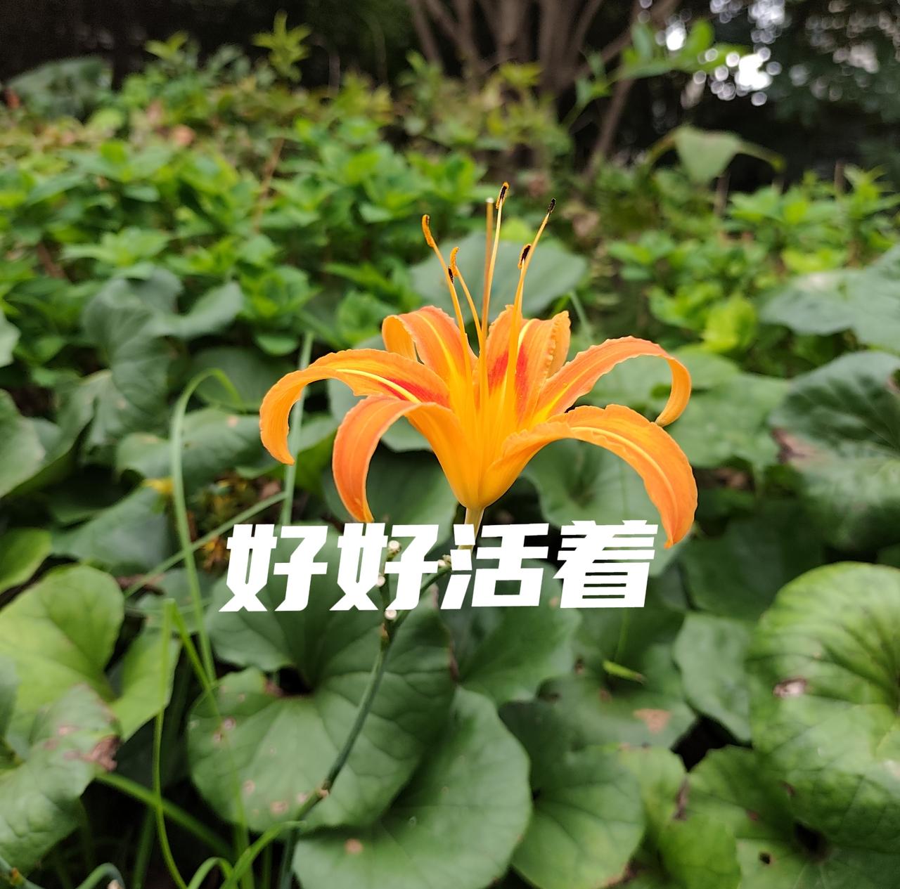早就不期盼长寿了。我现在也不管那么多，爱吃什么就吃点。我80了，还是中晚卵巢癌