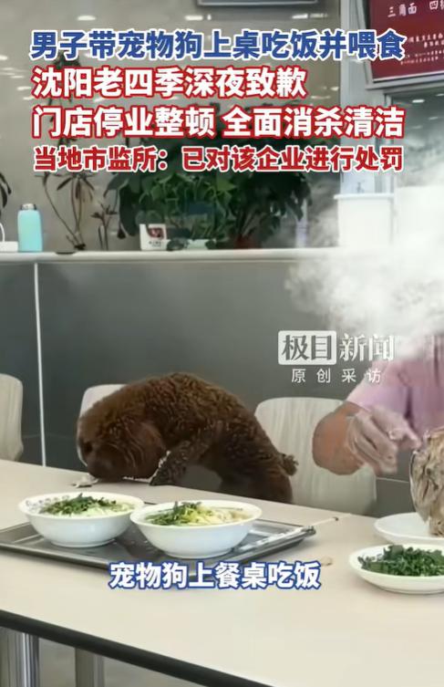 一只狗，如何咬死了一家经营20多年的老店。沈阳老四季，沈辽东路店。二十多年老