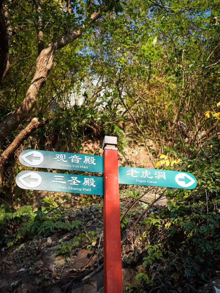 半小时登顶, 一条懒人友好的徒步路线!