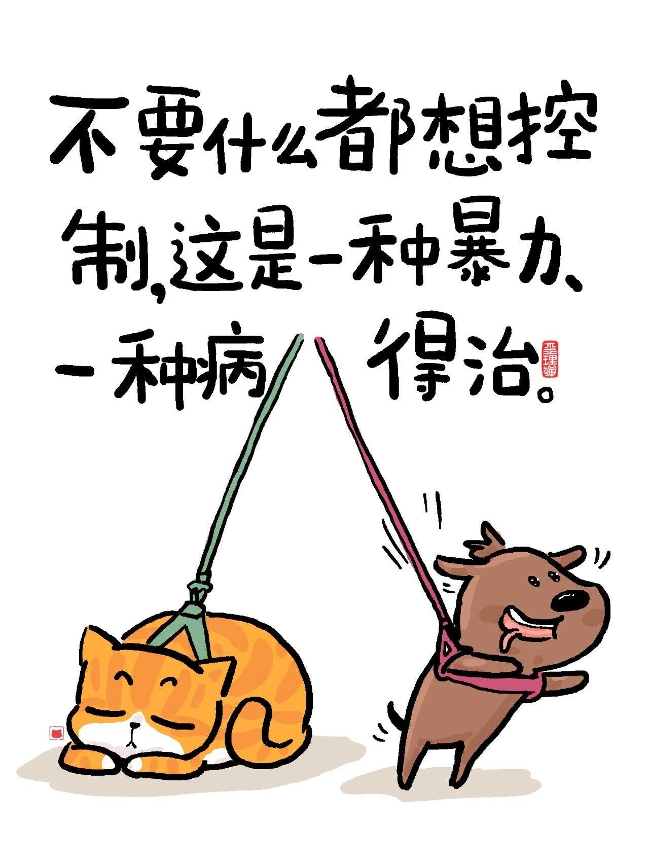 网友评论河北散装的：石家庄管不了手下一帮小弟，