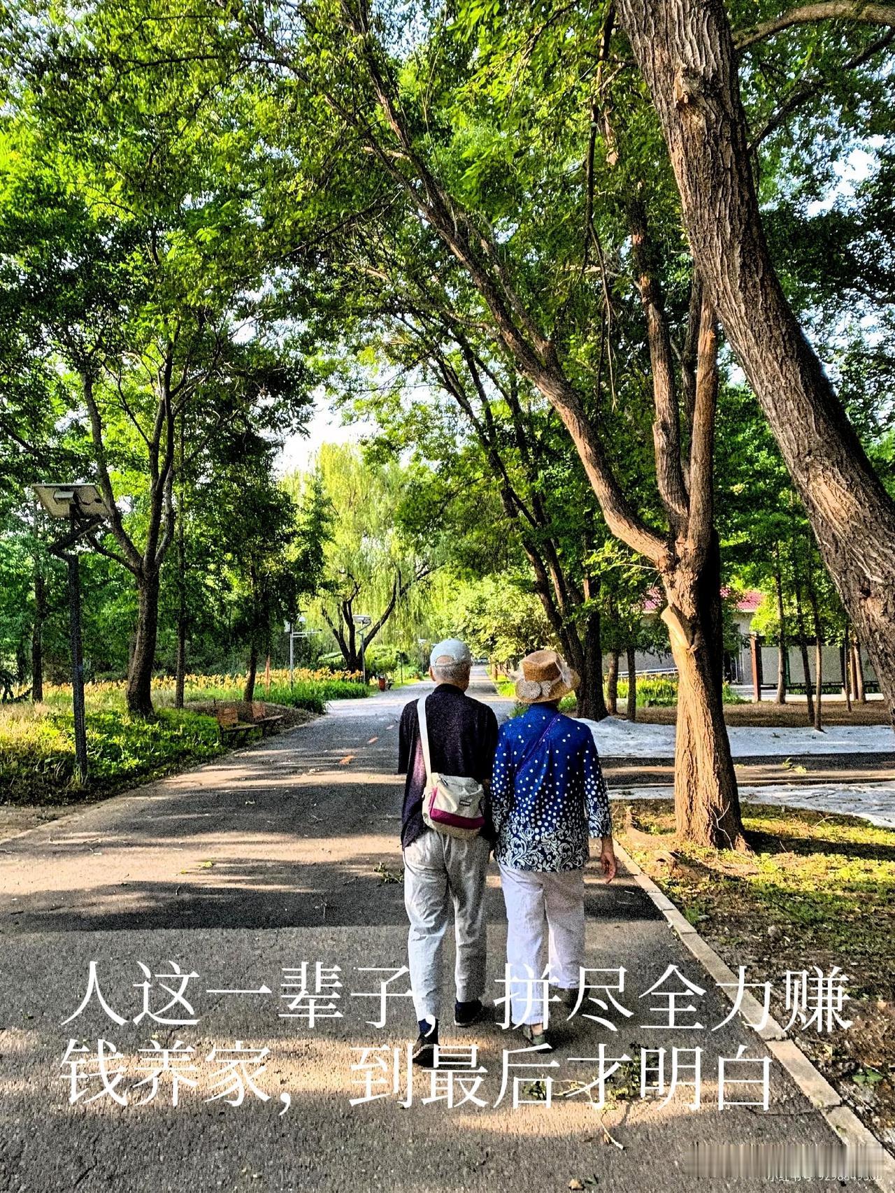 人到老了才彻底醒悟！退休金再多，也替代不了身边的老伴听过很多中老年朋友