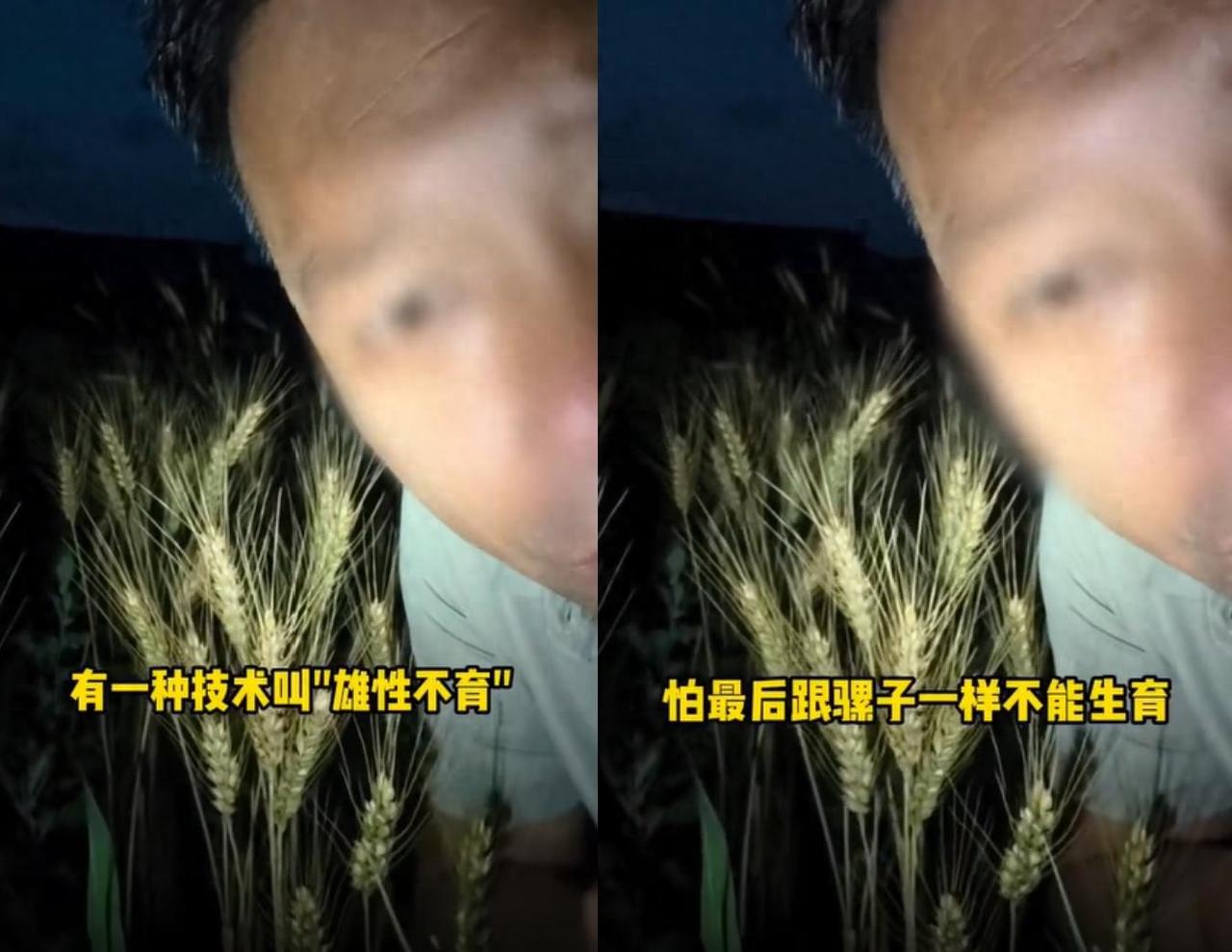 “吃饱了撑的！”一位坐拥200多万粉丝的三农网红，竟然在自己的短视频作品里大放厥