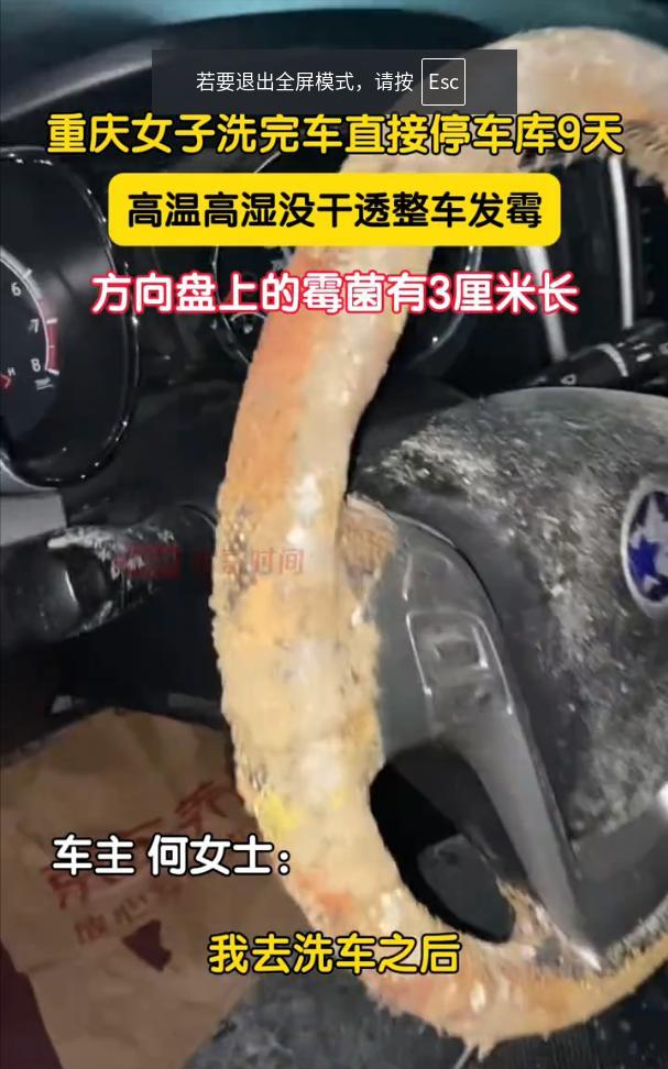 重庆，女子洗完车后将车开进车库几天没有动车，可当她再去开车的时候却发现车里的座椅