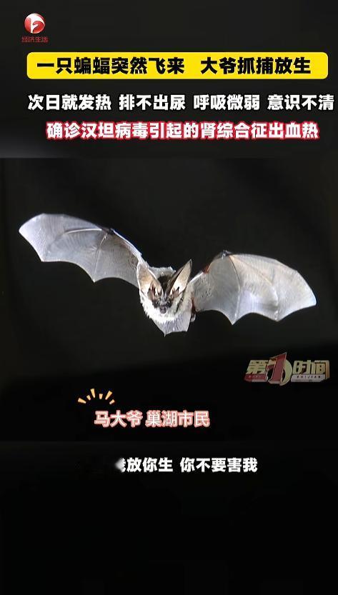 “悲剧还是发生了！”近日，安徽巢湖，一位大爷发现家中进了只蝙蝠，他伸手就去抓，可