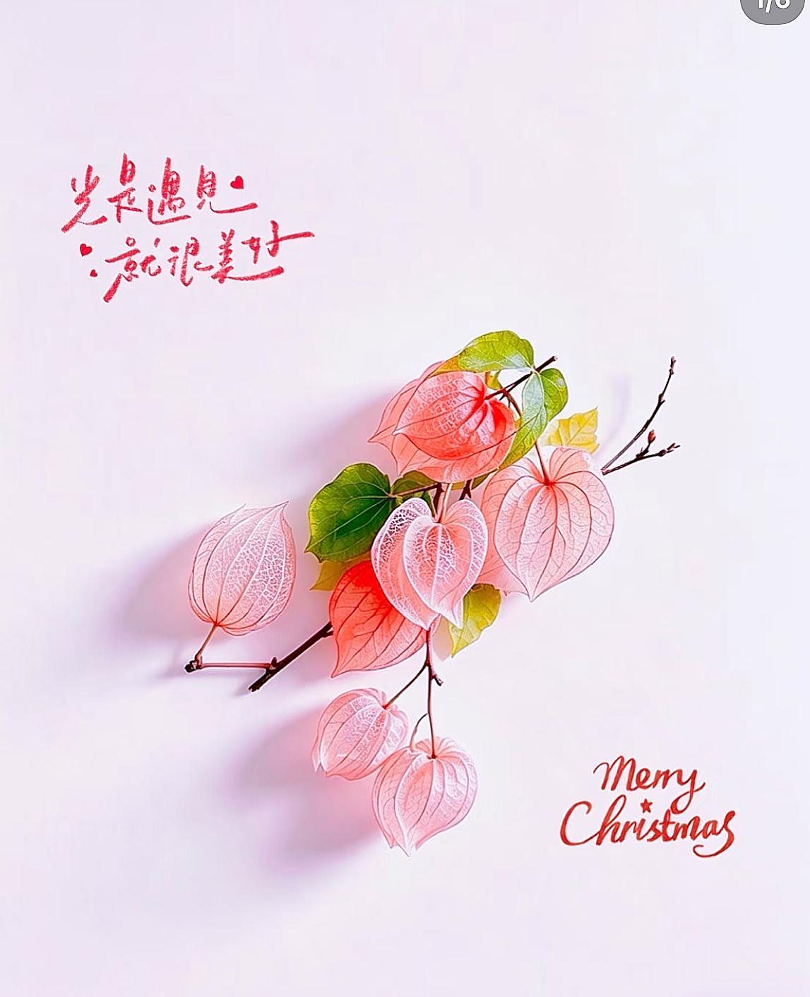 性学专家：“我要告诉你两句话：第一句：只有不出轨的女人，没有只出轨一次的女人