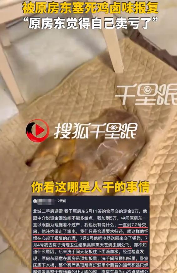 “隔着屏幕都闻到味道了！”安徽合肥，女子购房后吊顶恶臭滴血水，撬开惊现多只死鸡！