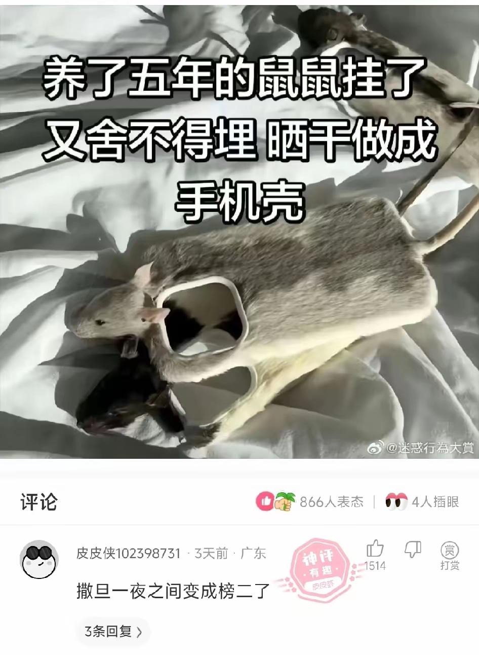 好家伙，这个真的狠啊[捂脸哭]