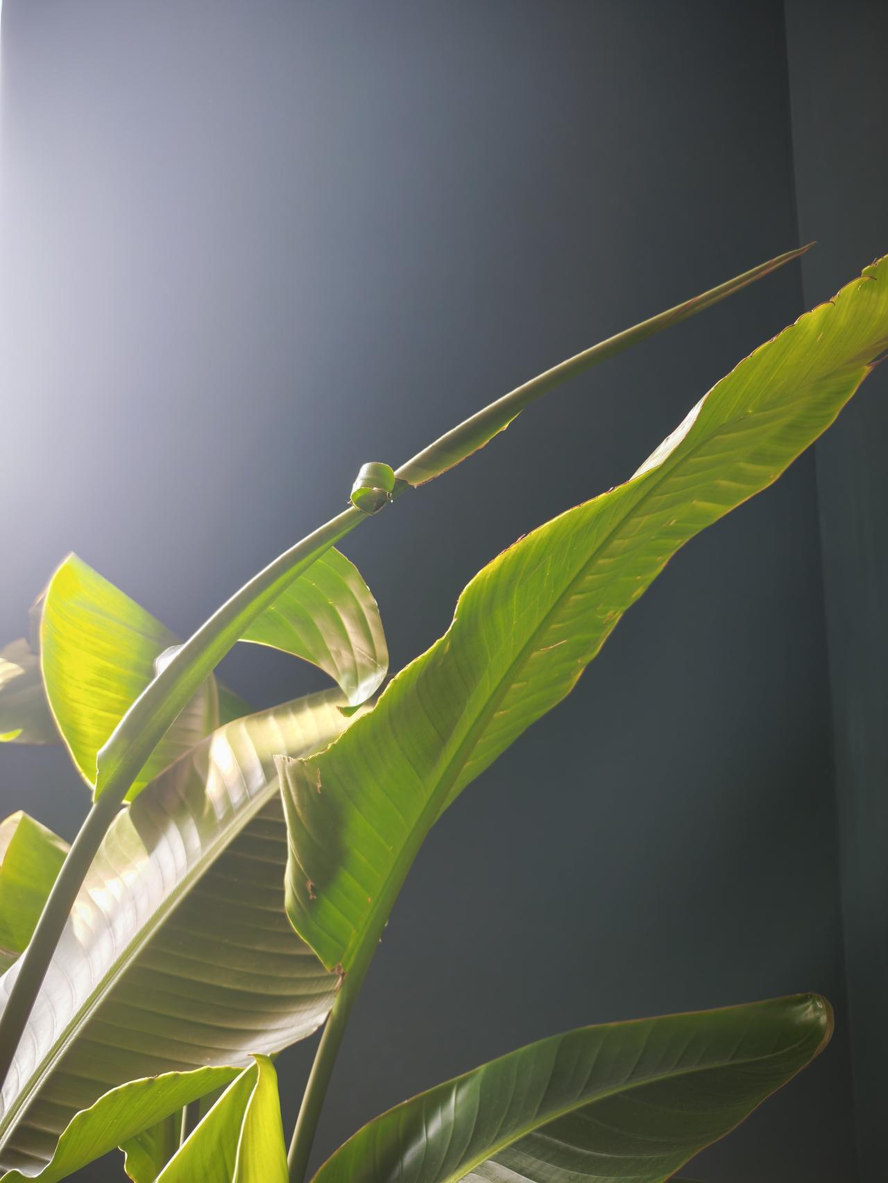 昨晚让老公帮忙把电动车推过去充电，这家伙回来跟我说:“老婆辛苦了，还是给你买辆车