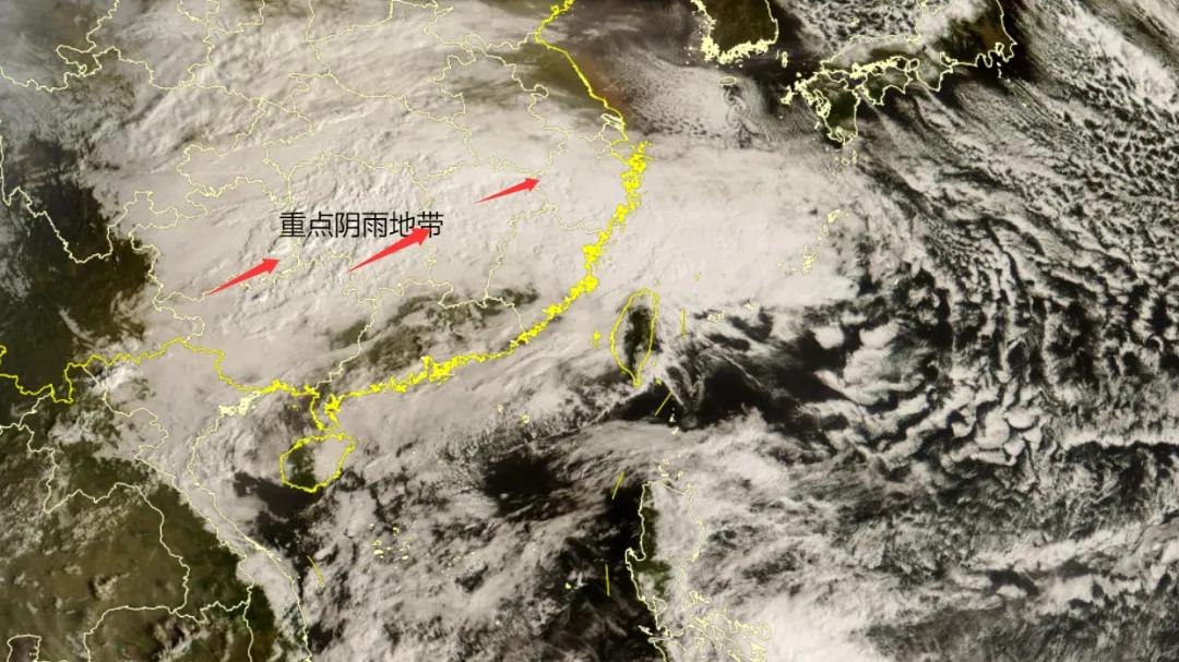 出现特大暴雪,第1波阴雨雪巅峰:超10省,南方要下雪?5胚胎酝酿