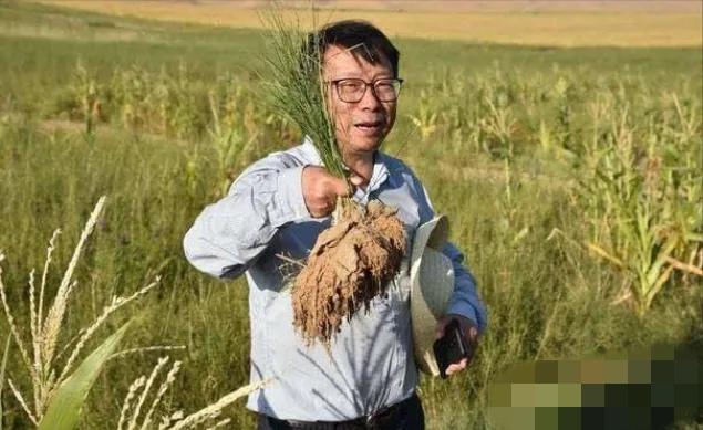 谁能想到，西方发达国家砸进去上万亿都没搞定的世界级难题，竟然被我们中国一位教授，