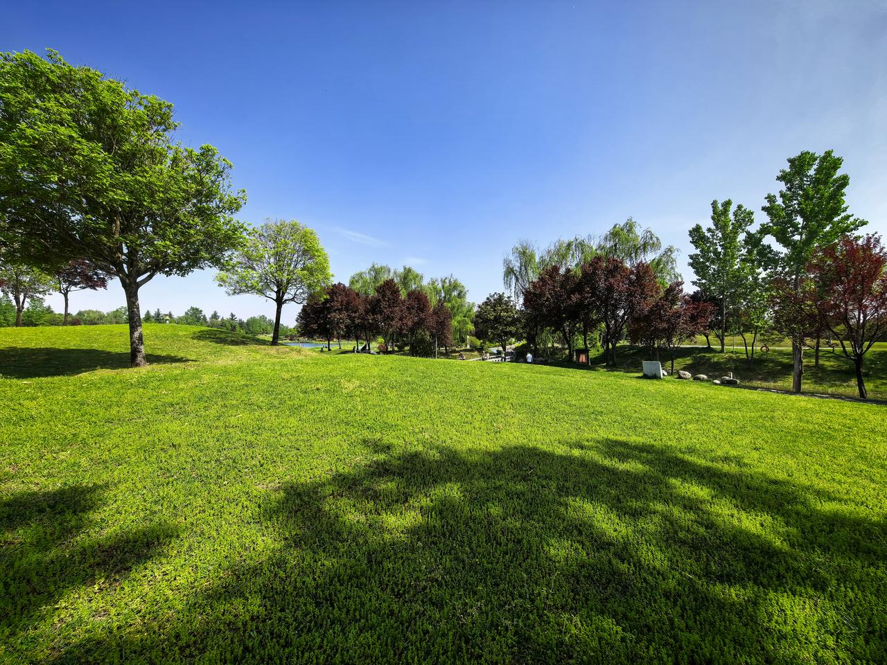 梁家滩运动公园成为西安周边人露营的热门场地，这里绿草如茵，高低起伏，碧水清澈，山