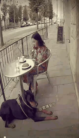 别再说狗狗有“预知超能力”了!那根本是刻在骨子里的守护本能!广东这只狗狗的操作,