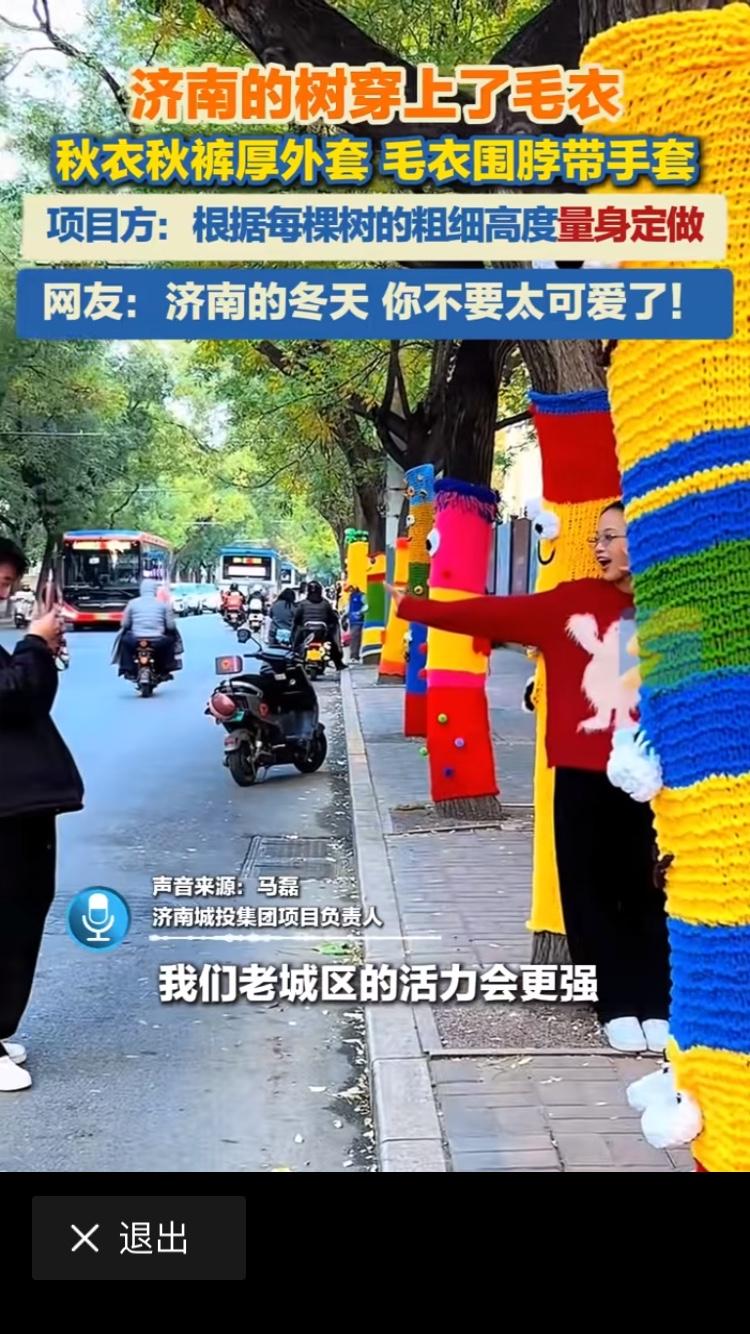 每年给大树穿毛衣，是一个文明城市的亮点。济南市大树穿的毛衣，每一颗都