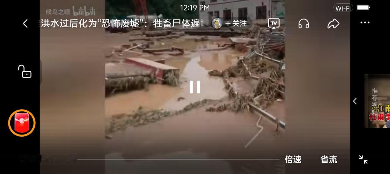 这叫“恐怖废墟”？——我国南方某地，洪水过后，一片狼藉，有人发视频：“牲畜尸体
