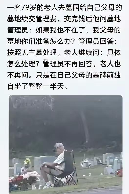 管理员那句“按无主墓处理”，是不是太冷冰冰了？