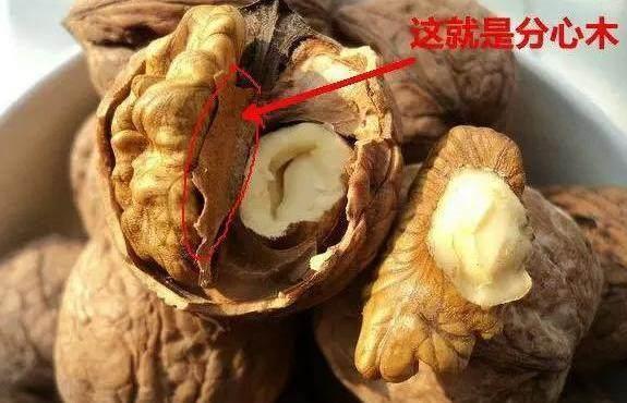 核桃里的这个“小东西”, 原来是个宝贝, 可很多人不知道!