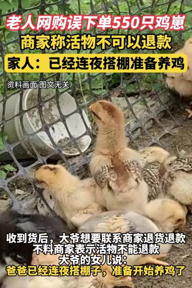 2025年4月安徽蚌埠，大叔在玩手机时不慎用免密支付买了550只小鸡，又没有办法