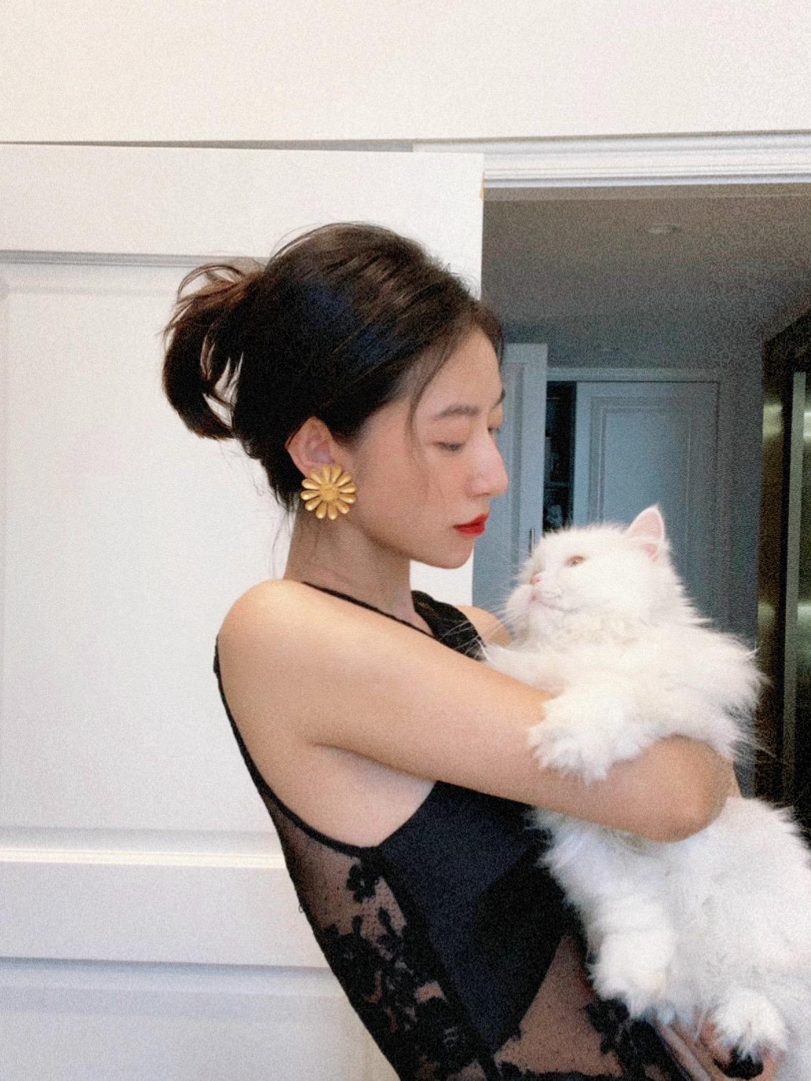 有张力的喵🐱。