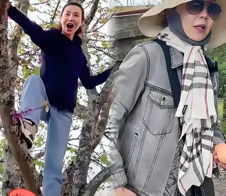 终于知道为什么张曼玉不拍戏了原因很简单不是没戏拍，也不是剧酬低，而是因为她过