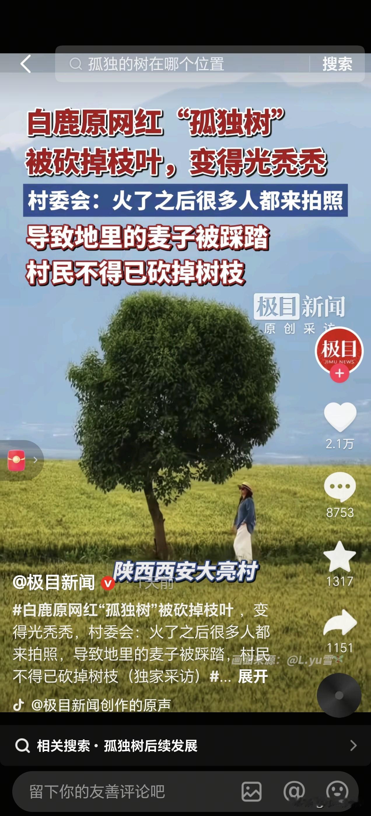 西安白鹿原上的网红“孤独树”被砍，不少人觉得当地人不会利用网络流量，浪费了机会。