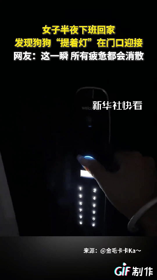 一女子半夜下班回家，结果她打开门的那一刻竟看到她的狗狗咬着灯坐在门口等她，紧接着