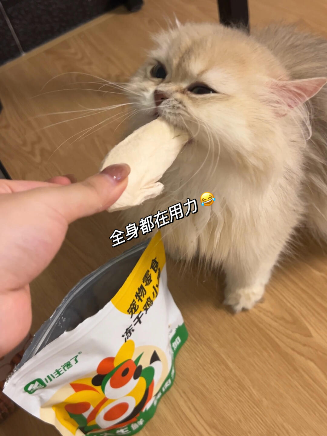 糖糖喂养日记丨谁家宝宝被钓成翘嘴啦？