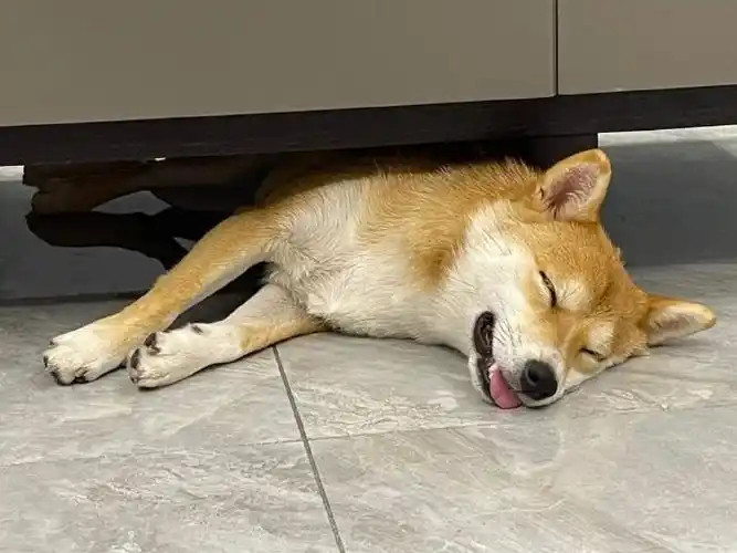 第一个次轮+博格丹换来科比.怀特！第二个次轮+科比.布朗换来基翁.埃利斯，第三个