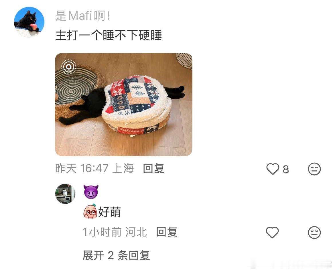 玩具买小了猫咪就这样硬玩