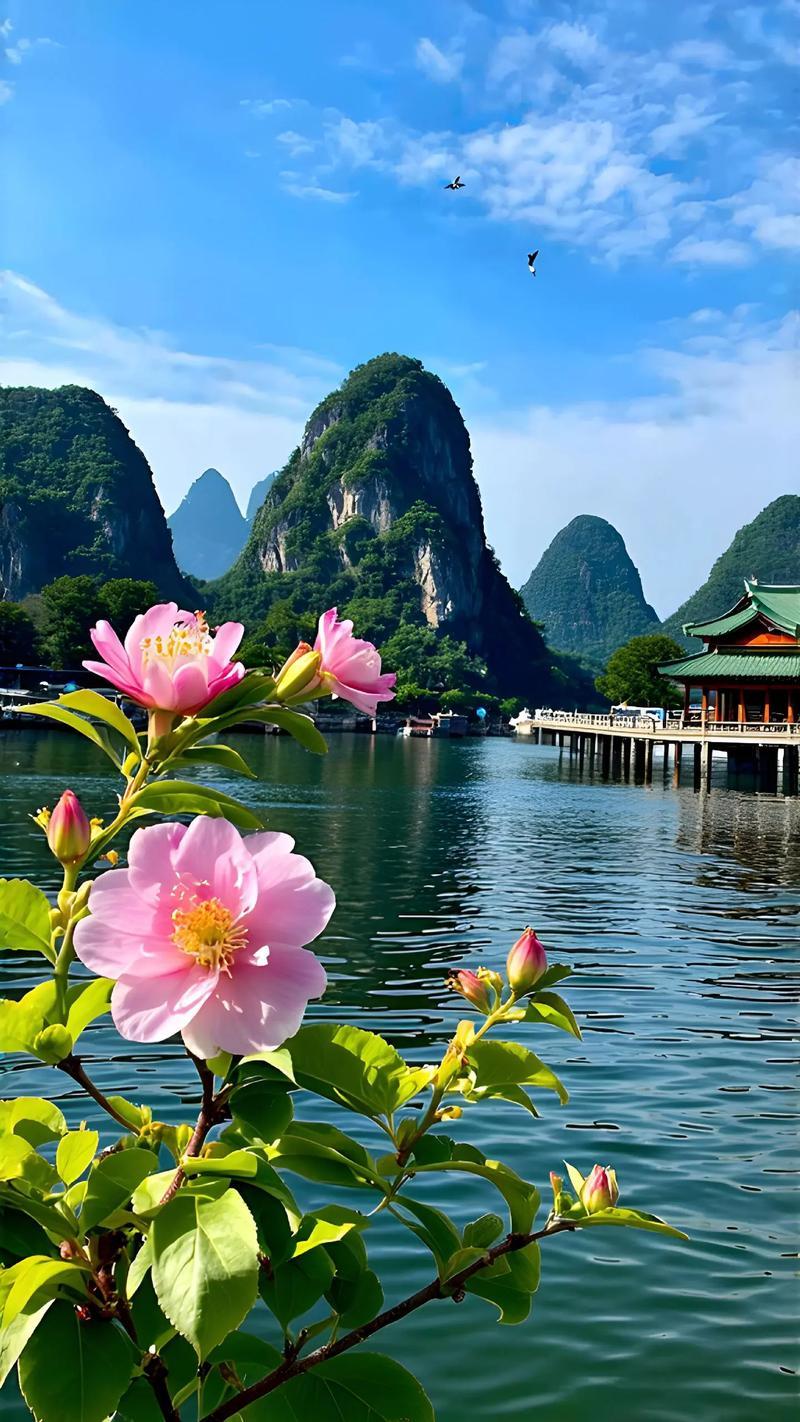 今天同学和我倒苦水，她大姐有点不讲理！刚刚有微信的时候他们家族在老弟牵头下建