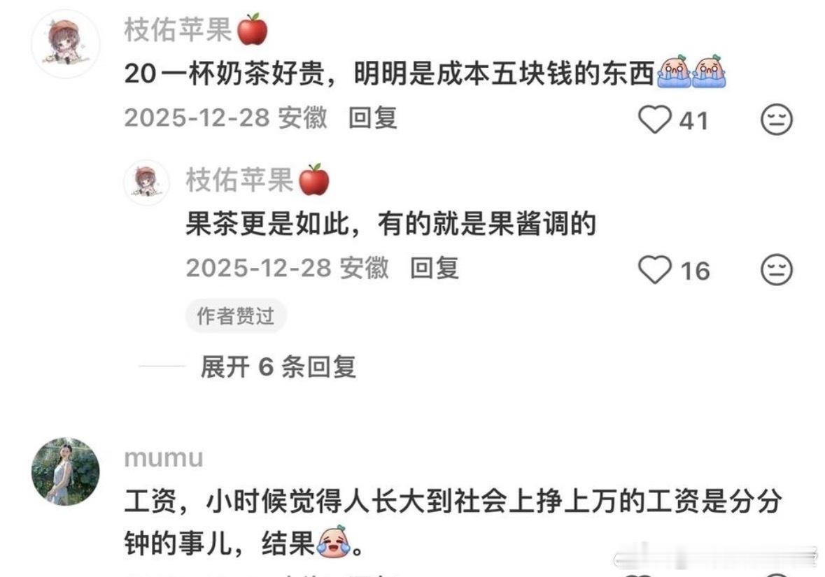 什么东西成年了才意识到很贵