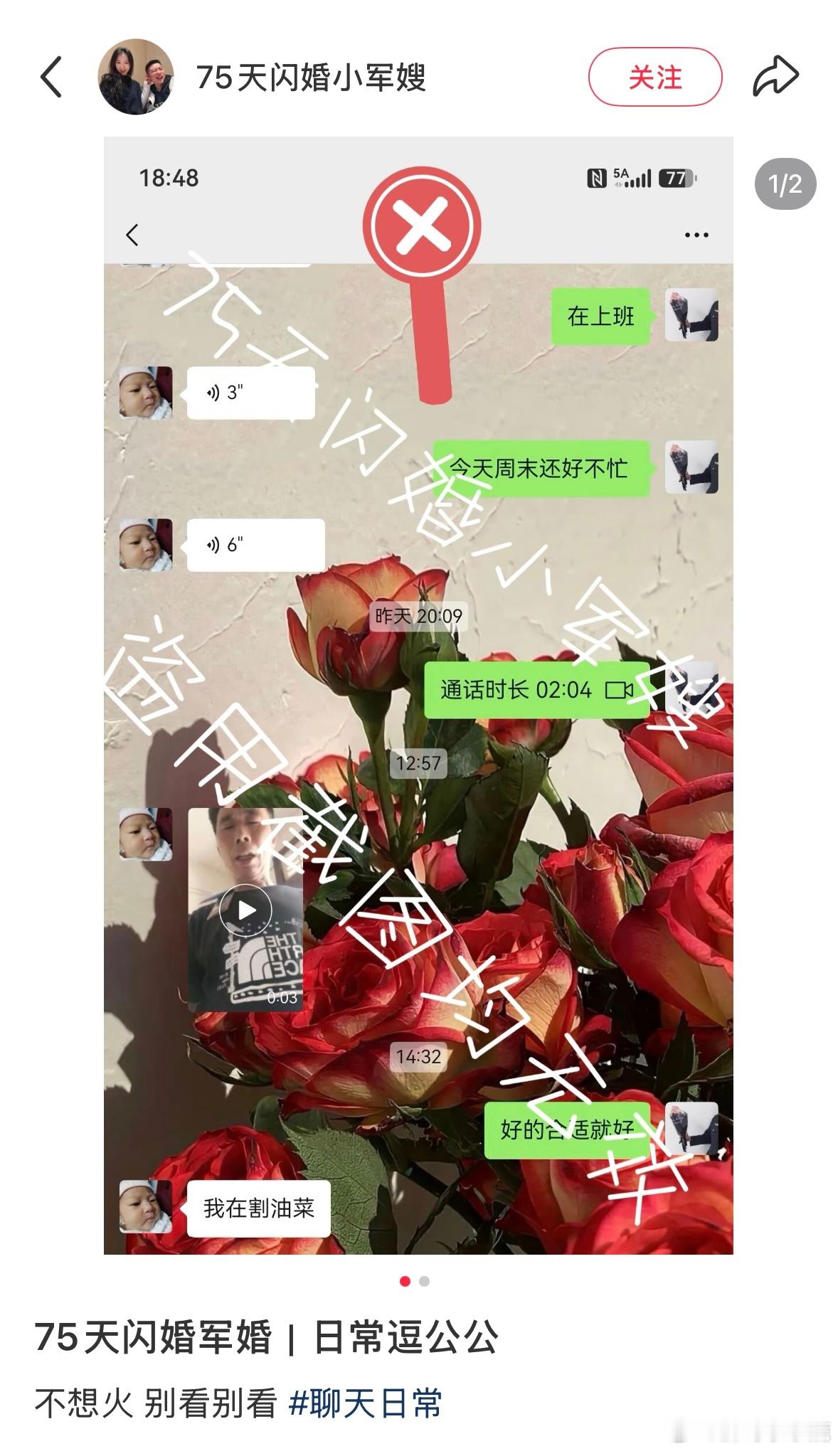 民间艺术观察