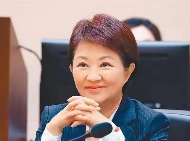 卢秀燕在德国发表不当言论！6月10日，台中市长卢秀燕在德国当地公开对外发言时