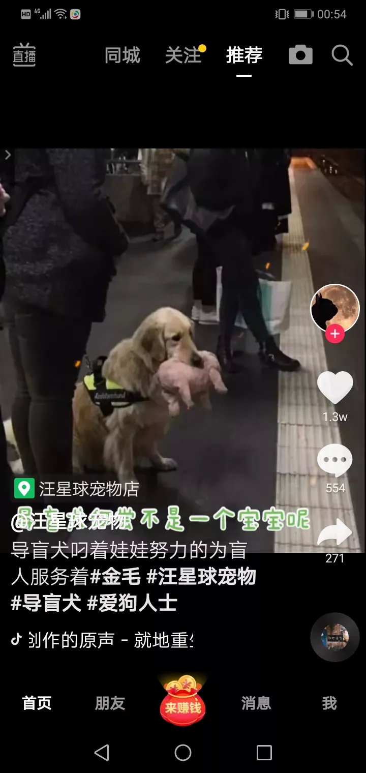 导盲犬又何尝不是个宝宝，嘴里咬着娃娃在工作！心疼！它们也有童年！