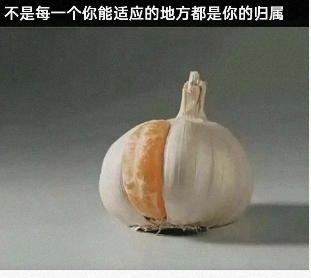 不是每一个你能适应的地方都是你的归属