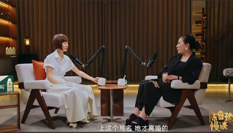 鲁豫是一点面子都不给徐克，向太一番话她听的差点爆粗听到施南生是为了徐克不背骂