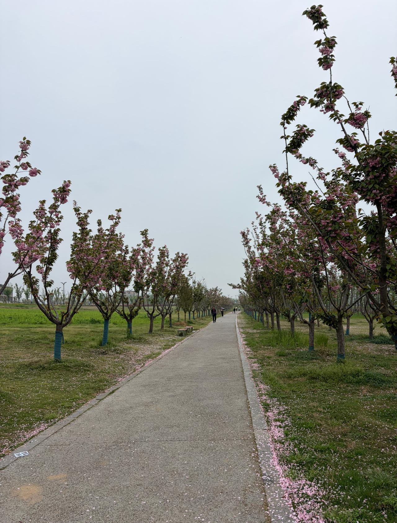 我发现一件很有意思的事。许多人退休后，特别是女性，仿佛一夜之间，从以前的社交