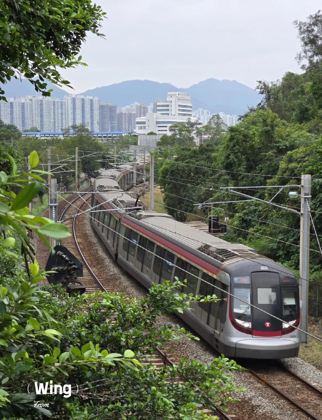 像不像大蟒蛇在蜿蜒爬行？拍攝地點：(港鐵東鐵綫)大學站🔄火炭站-❣️