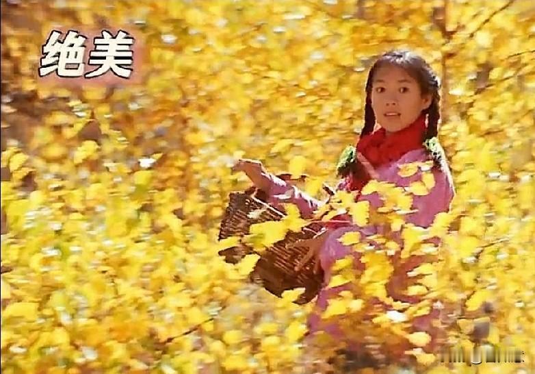 越看越好看的画面[滑稽笑]经典之怀念的年代[滑稽笑]