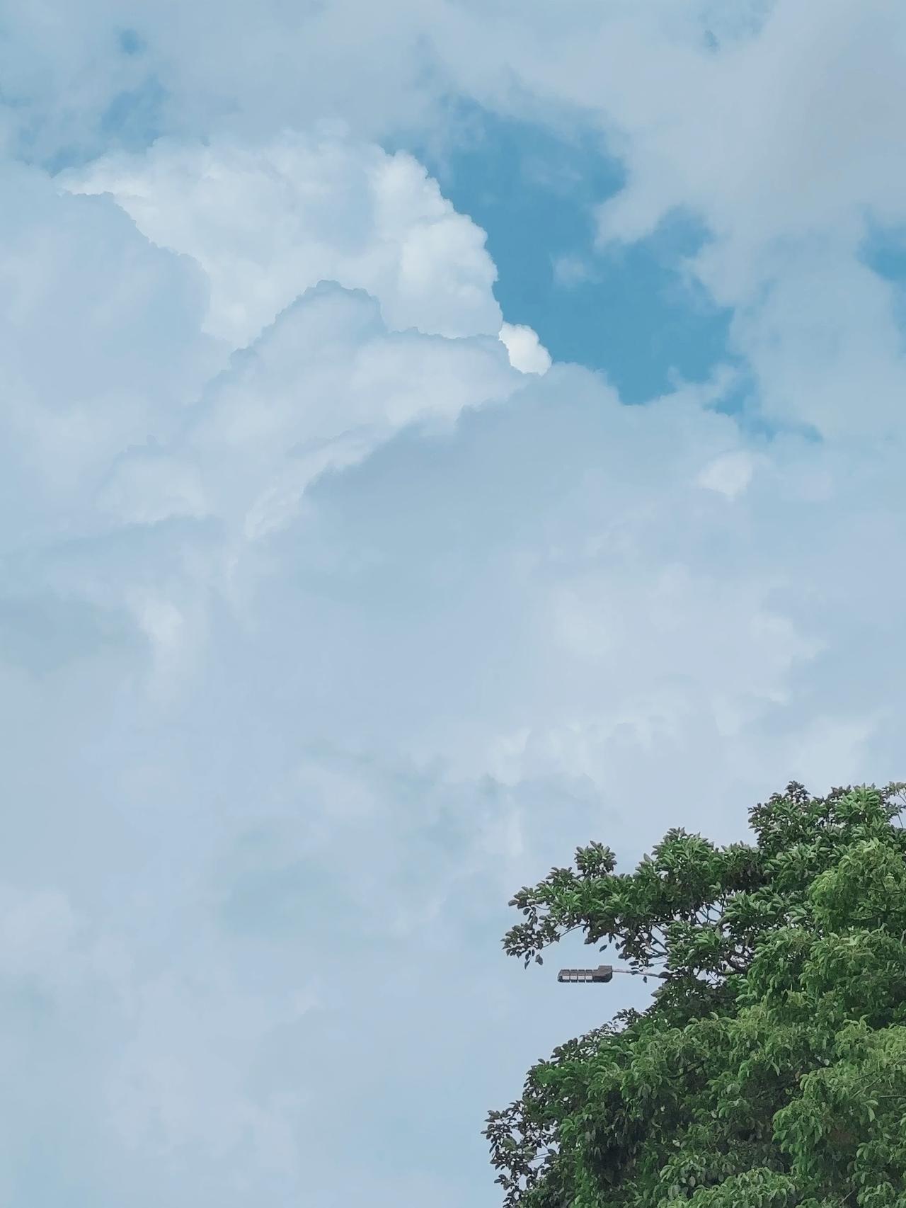 在那个没有台风的日子里他的云就是这样的那些只有出现在漫画世界里的大片积云